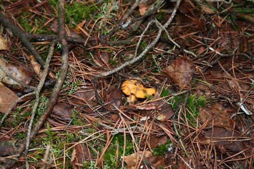 20070114-Mazury004.JPG