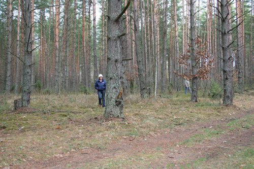 20070114-Mazury019.JPG