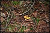 20070114-Mazury004.JPG