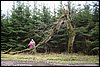 20070114-Mazury011.JPG