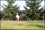 IMG_4141.JPG