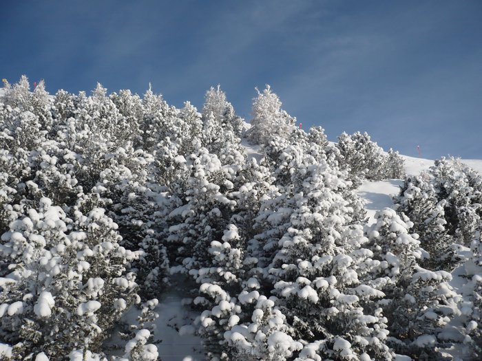 20091212-15_OstTirol-555.JPG