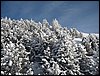 20091212-15_OstTirol-555.JPG