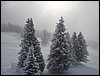 20091212-15_OstTirol-572.JPG