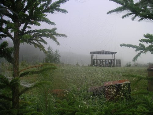 PICT0001.JPG