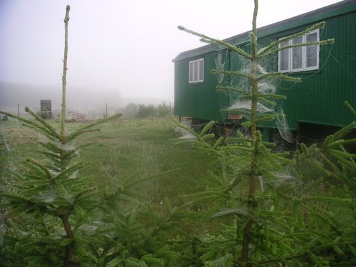 PICT0002.JPG