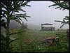 PICT0001.JPG