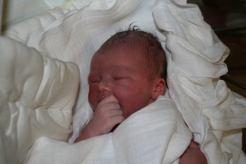 Hugo-20070426-09.JPG