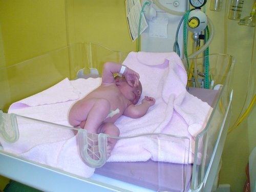 Hugo-20070426-10.JPG