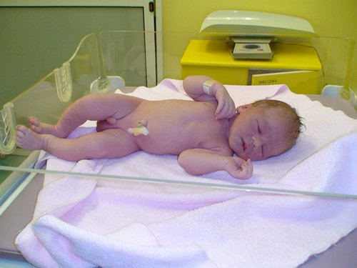 Hugo-20070426-12.JPG