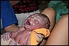 Hugo-20070426-05.JPG