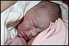 Hugo-20070426-07.JPG