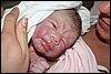 Hugo-20070426-08.JPG