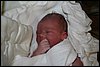 Hugo-20070426-09.JPG