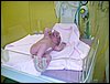 Hugo-20070426-10.JPG
