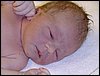 Hugo-20070426-13.JPG