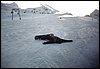 AustriaInsbruck_12.2001_002.jpg