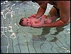 PICT0029.JPG