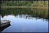 Dzialka-20050814 005.jpg