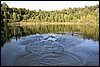 Dzialka-20050814 010.jpg