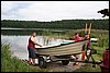Dzialka-20050814 042.jpg