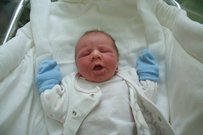 Hugo-20070427-01.JPG