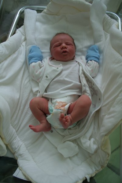 Hugo-20070427-02.JPG