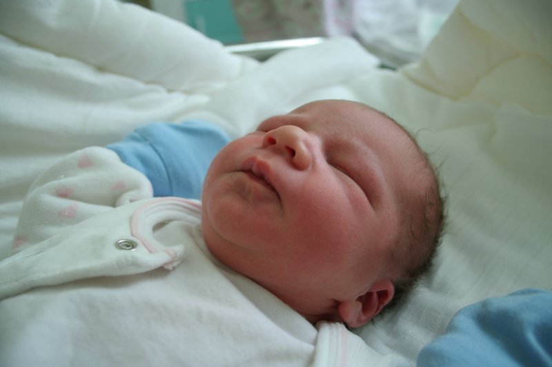 Hugo-20070427-04.JPG
