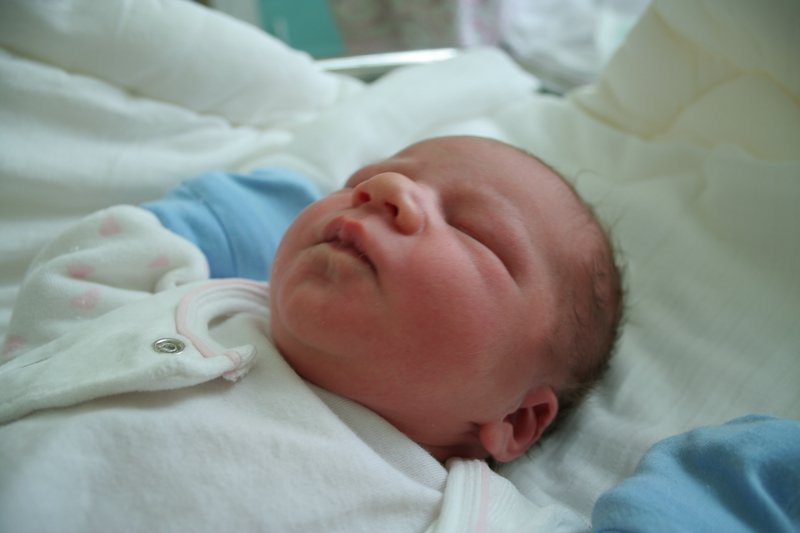 Hugo-20070427-05.JPG