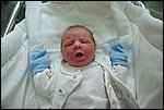 Hugo-20070427-01.JPG