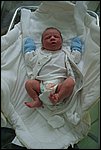 Hugo-20070427-02.JPG