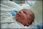 Hugo-20070427-03.JPG
