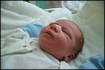 Hugo-20070427-04.JPG