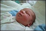 Hugo-20070427-05.JPG