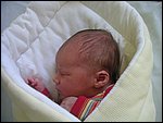 20070429-Hugo-d4-12.JPG