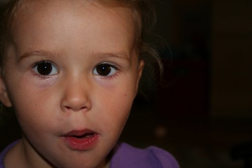 IMG_4064.JPG