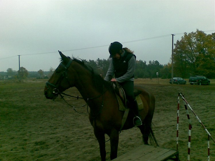 Zdjŕcie026.jpg