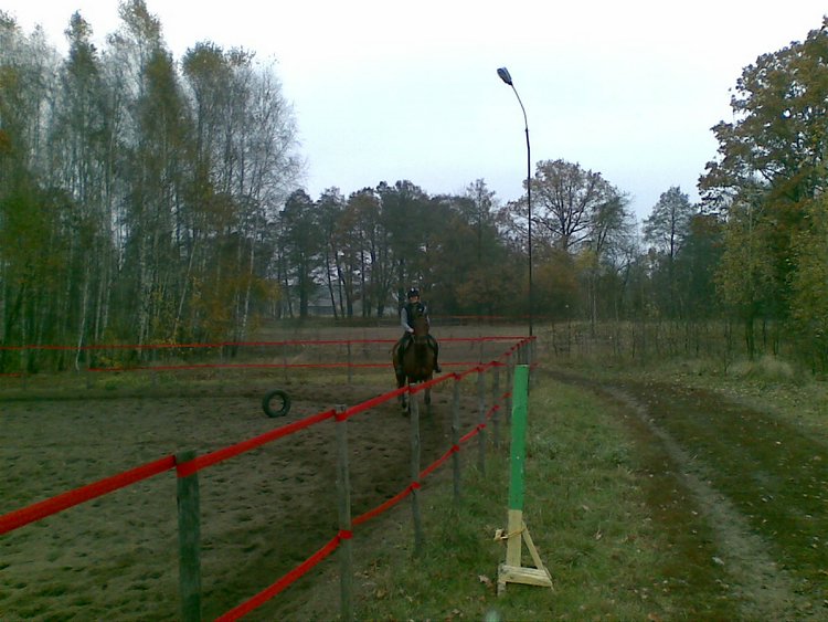Zdjŕcie031.jpg