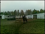 Zdjŕcie032.jpg