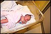 Leo-1dzien-12.jpg