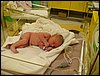 Leo-1dzien-19.JPG