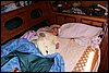Mazury-20050802 023.jpg