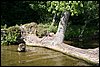 Mazury-20050802 026.jpg