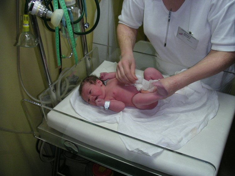 PICT0008.JPG