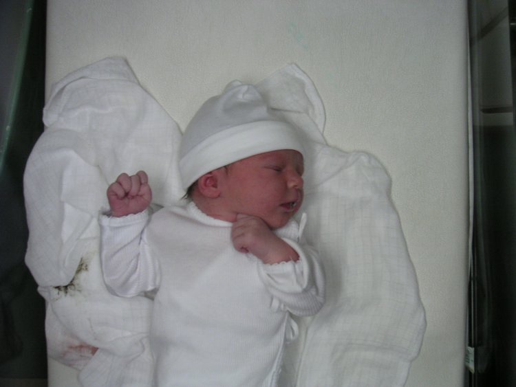 PICT0023.JPG