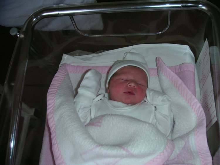 PICT0029.JPG