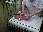 PICT0008.JPG