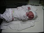 PICT0022.JPG