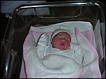 PICT0029.JPG