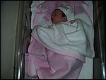 PICT0030.JPG